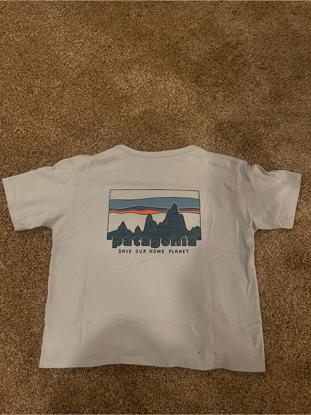 Womens light blue Patagonia T-shirt